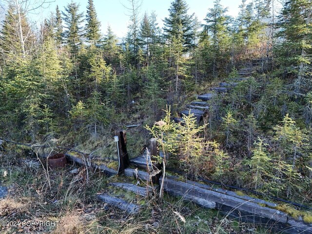 65449 Lingonberry Rd, Ninilchik, AK 99639 - view of local wilderness featuring a forest view