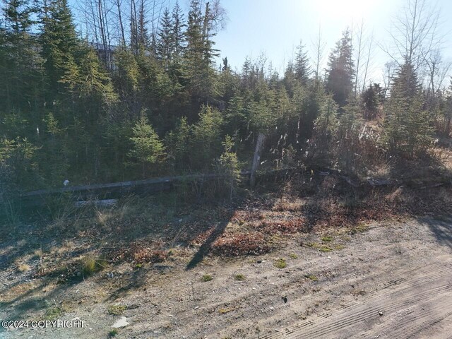 65449 Lingonberry Rd, Ninilchik, AK 99639 - view of landscape