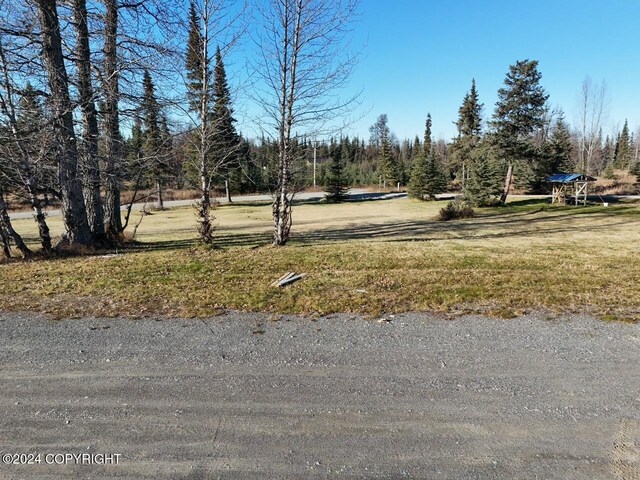 65449 Lingonberry Rd, Ninilchik, AK 99639 - view of road