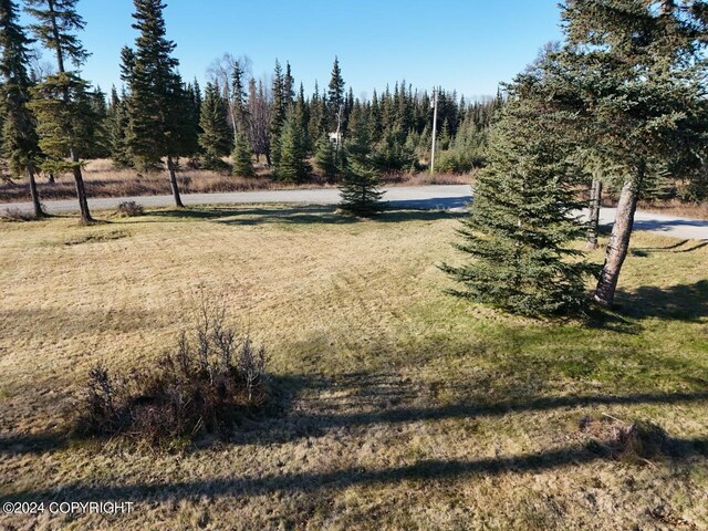 65449 Lingonberry Rd, Ninilchik, AK 99639 - view of yard