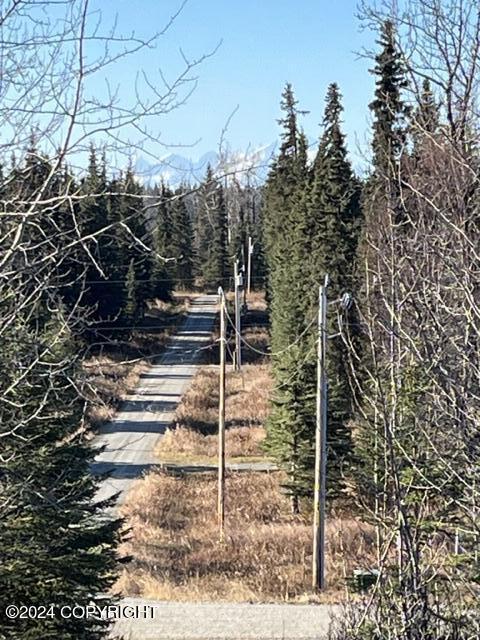 65449 Lingonberry Rd, Ninilchik, AK 99639 - view of street