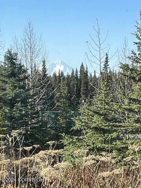 65449 Lingonberry Rd, Ninilchik, AK 99639 - view of landscape with a wooded view