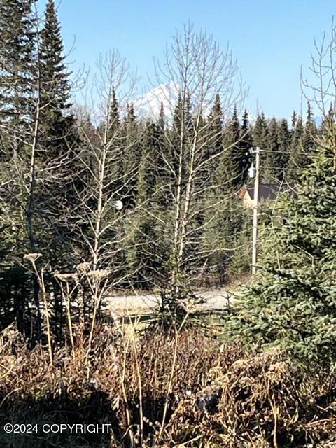 65449 Lingonberry Rd, Ninilchik, AK 99639 - view of landscape with a wooded view