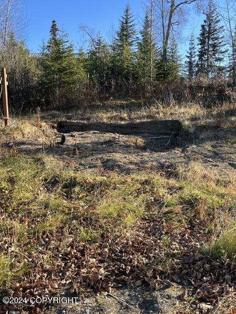 65449 Lingonberry Rd, Ninilchik, AK 99639 - view of landscape