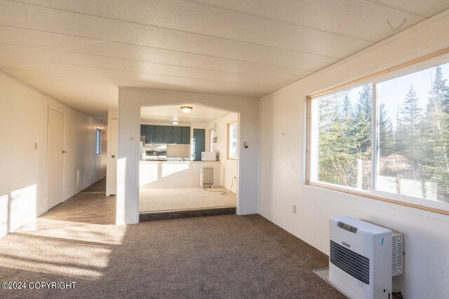 carpeted empty room featuring heating unit and radiator heating unit