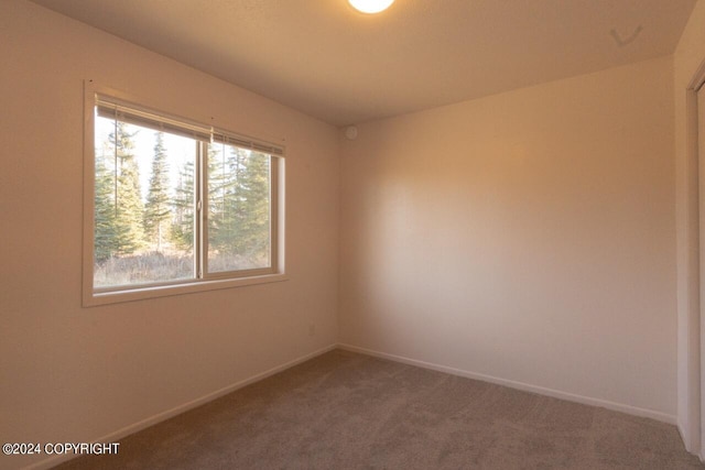 unfurnished room with carpet flooring