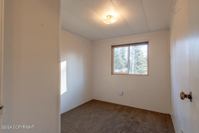 unfurnished room with carpet floors