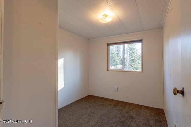 65449 Lingonberry Rd, Ninilchik, AK 99639 - view of carpeted empty room