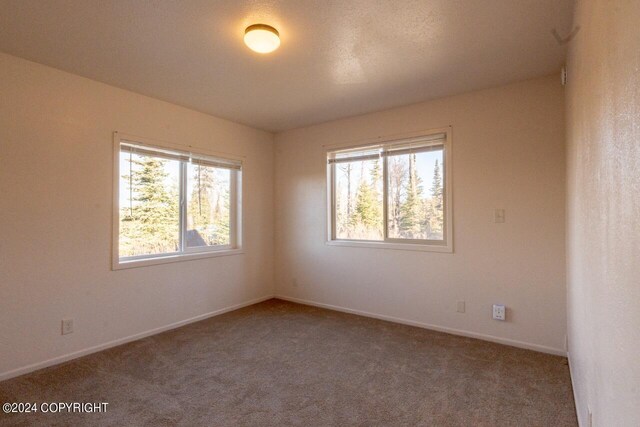 65449 Lingonberry Rd, Ninilchik, AK 99639 - carpeted spare room featuring baseboards and a healthy amount of sunlight