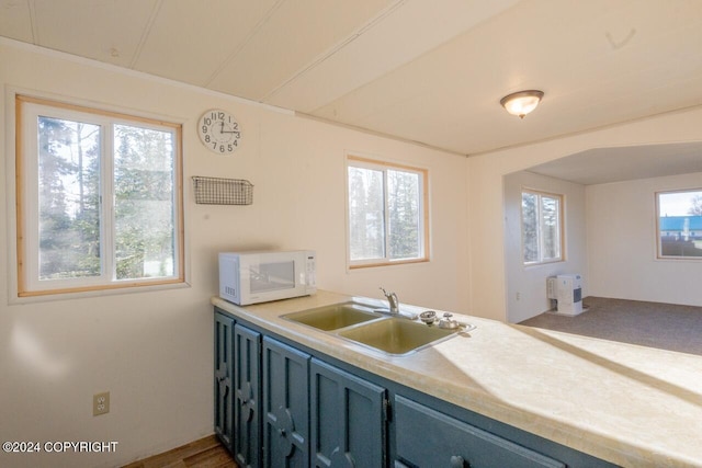 kitchen with blue cabinetry, hardwood / wood-style flooring, and sink