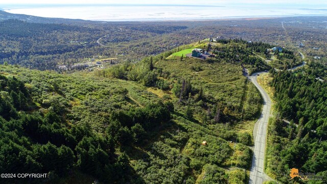 12650 Glen Alps Rd, Anchorage, AK 99516