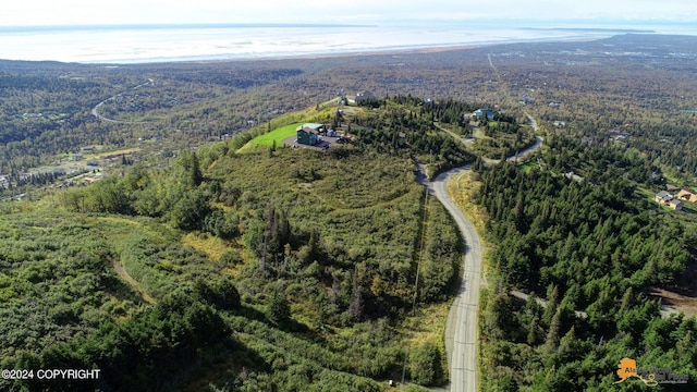 12650 Glen Alps Rd, Anchorage, AK 99516