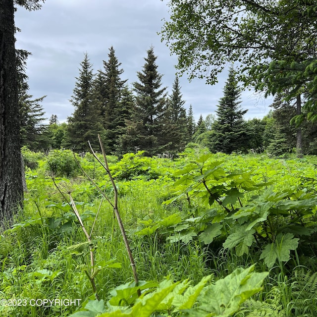 17541 Arcturus Loop, Ninilchik AK, 99639 land for sale