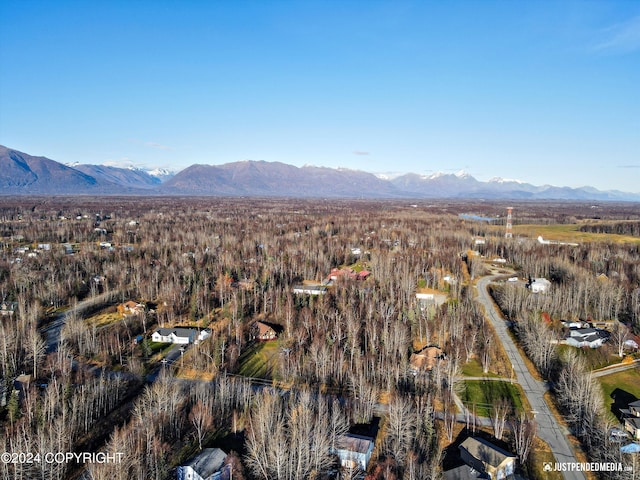 aerial view with a mountain view