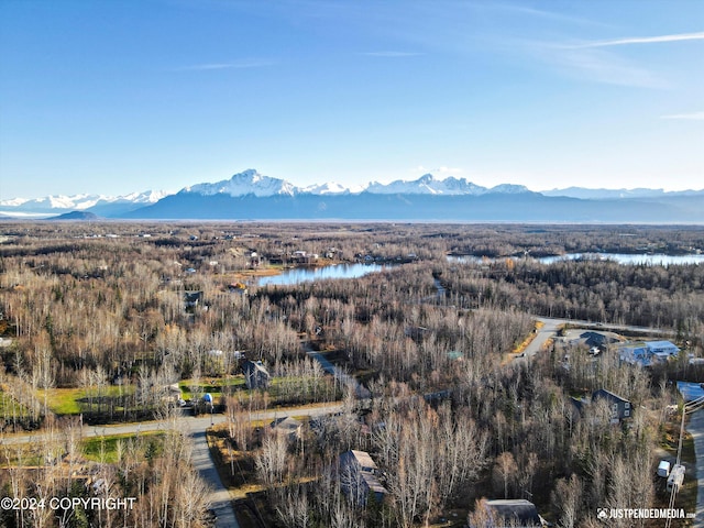 property view of mountains with a water view