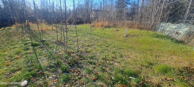 view of local wilderness