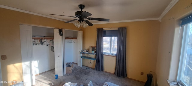 unfurnished bedroom featuring crown molding, multiple windows, carpet, and ceiling fan