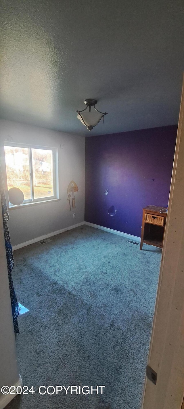 carpeted spare room featuring a textured ceiling