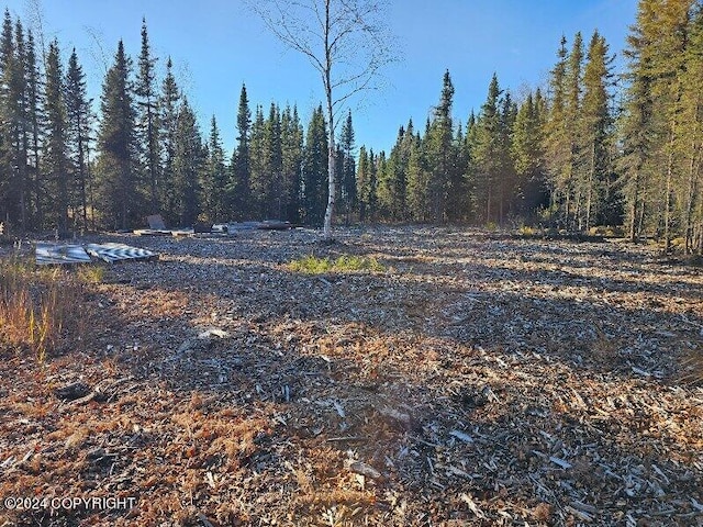 L3 Erlwein Cir, Soldotna, AK 99669 - photo 6