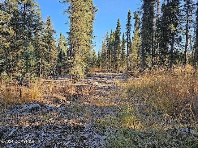 L3 Erlwein Cir, Soldotna, AK 99669 - photo 4