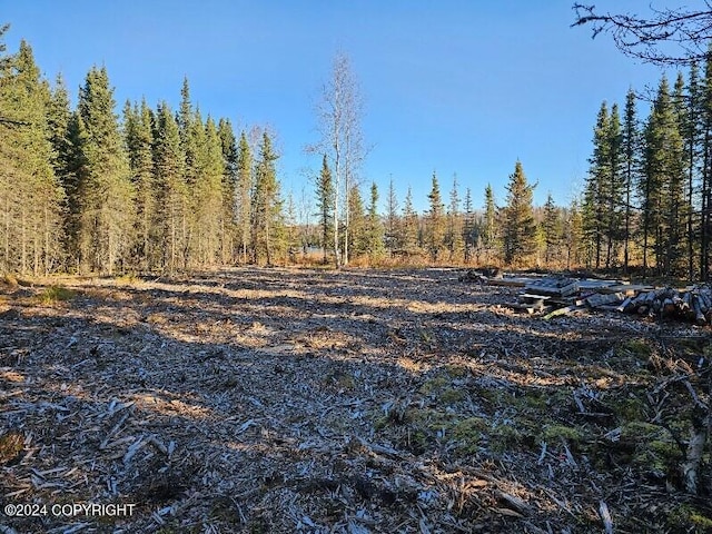 L3 Erlwein Cir, Soldotna, AK 99669 - photo 7