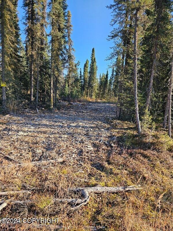 L3 Erlwein Cir, Soldotna, AK 99669 - photo 3