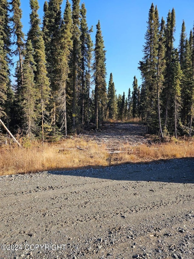 L3 Erlwein Cir, Soldotna, AK 99669 - photo 2
