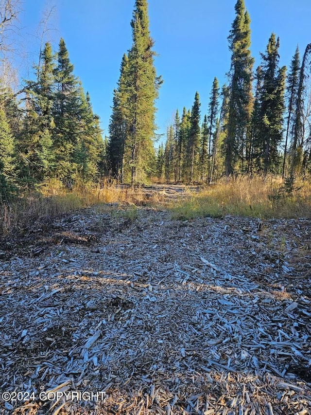 L3 Erlwein Cir, Soldotna, AK 99669 - photo 5