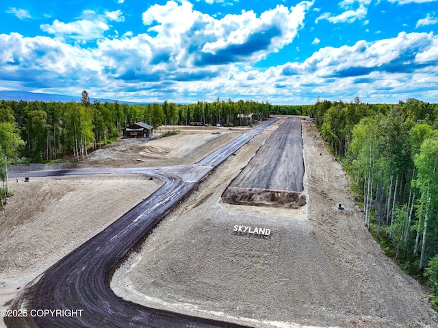 46783 S Fishermans Hop Rd, Willow, AK 99688 - photo 17