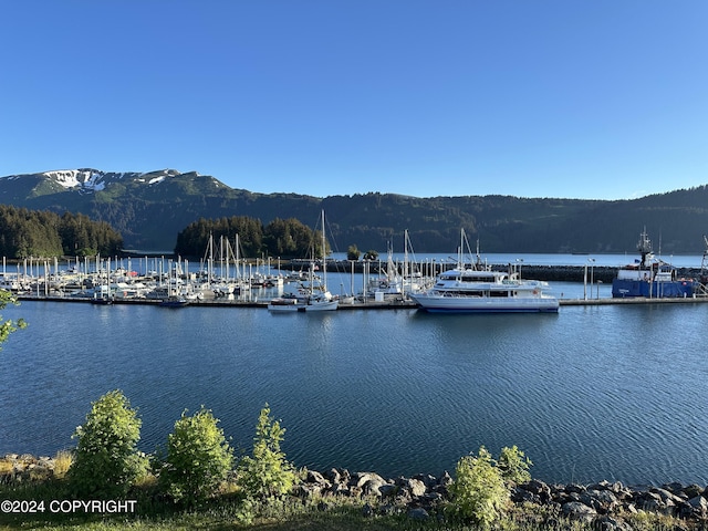 view of water feature with a mountain view and a dock