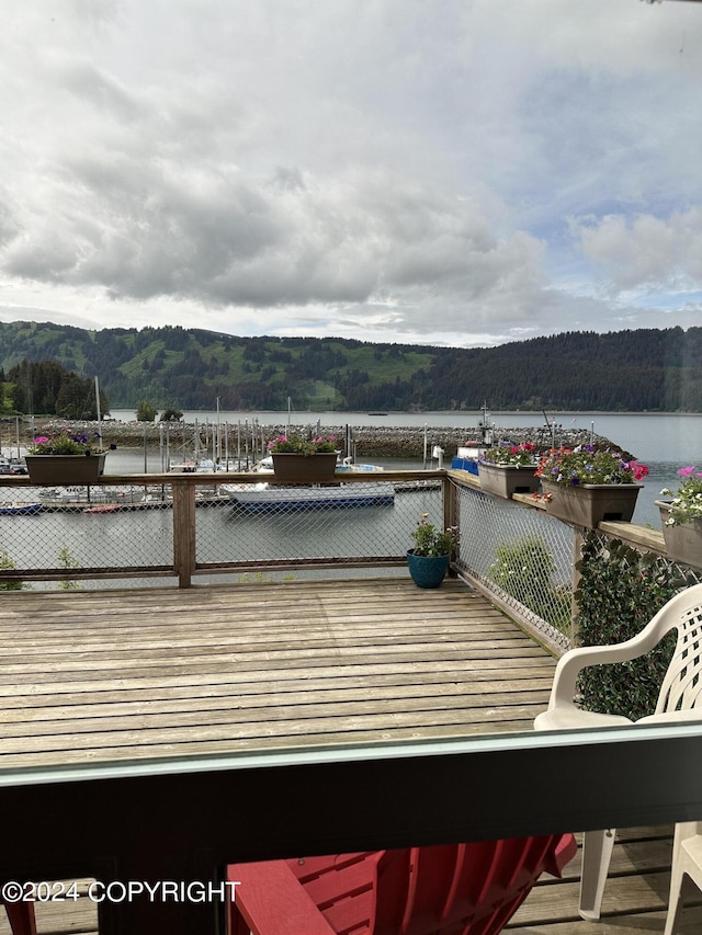 251 Main St, Seldovia, AK 99663 - photo 14