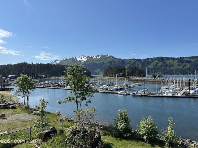 251 Main St, Seldovia, AK 99663 - photo 4