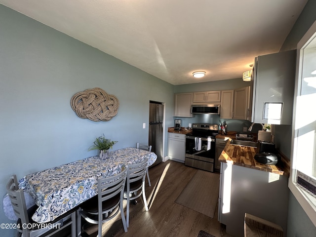 kitchen featuring dark hardwood / wood-style floors, sink, and stainless steel appliances