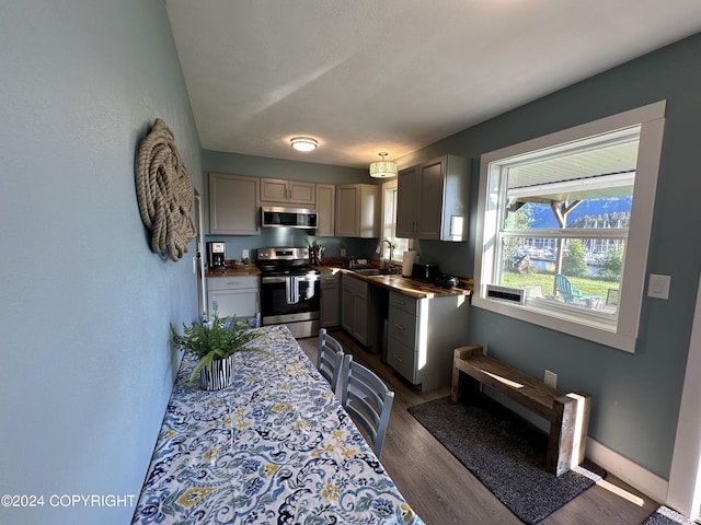 kitchen with dark hardwood / wood-style flooring, stainless steel appliances, gray cabinetry, and sink