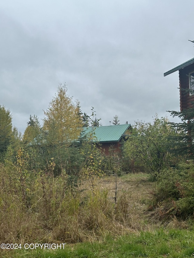 28160 Chestes St, Ninilchik, AK 99556 - view of yard