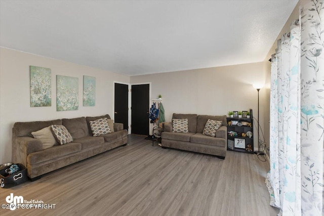 living room with hardwood / wood-style flooring