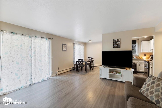 living room featuring light wood-type flooring