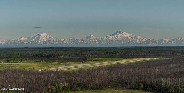 B5L8 Willow Dr, Willow, AK 99688 - photo 2
