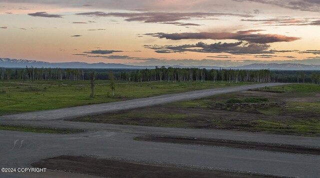 B5L8 Willow Dr, Willow, AK 99688 - photo 4