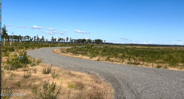 B5L8 Willow Dr, Willow, AK 99688 - photo 8