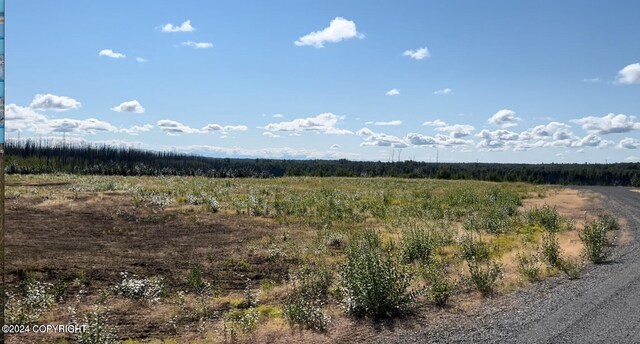B5L8 Willow Dr, Willow, AK 99688 - photo 9