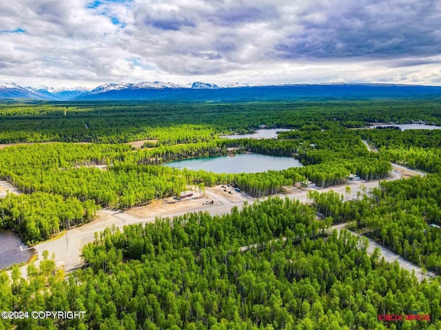 birds eye view of property featuring a water and mountain view