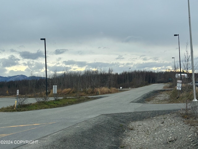 L3B-1 S Lamont Cir, Wasilla AK, 99654 land for sale