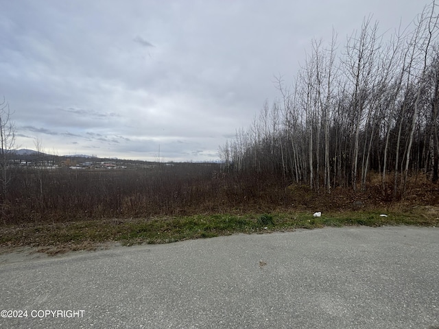 Listing photo 2 for L3B-1 S Lamont Cir, Wasilla AK 99654