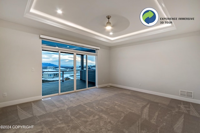 spare room featuring ceiling fan, carpet flooring, and a raised ceiling