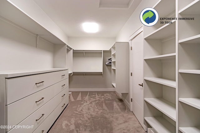 walk in closet with light colored carpet