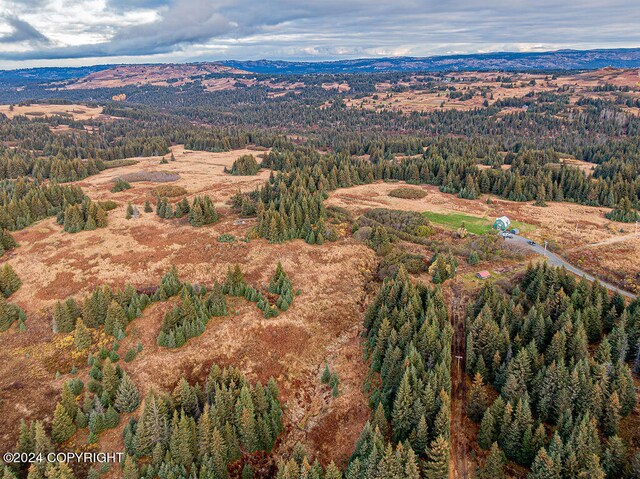 61291 Crossman Ridge Rd, Homer, AK 99603 - photo 7