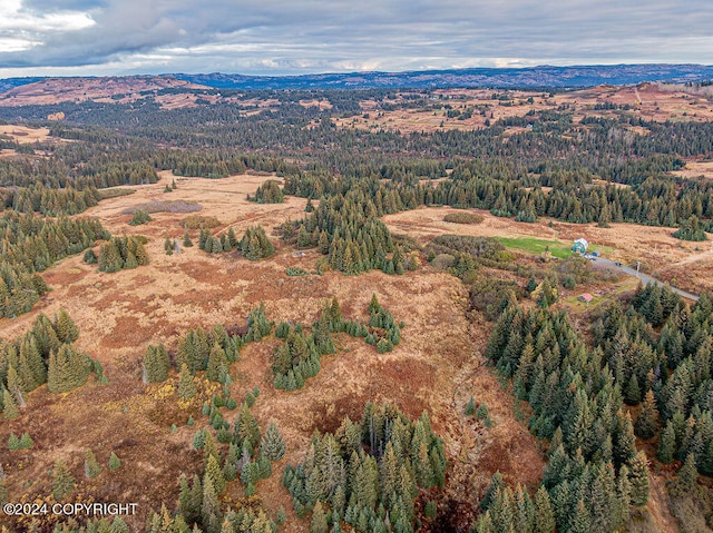 61291 Crossman Ridge Rd, Homer, AK 99603 - photo 8