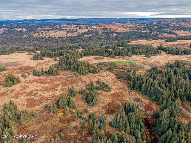 61291 Crossman Ridge Rd, Homer, AK 99603 - photo 9