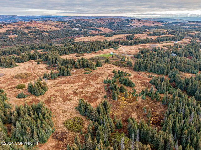 61291 Crossman Ridge Rd, Homer, AK 99603 - photo 10